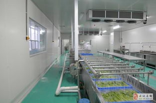 武漢東西湖區源香食品產業園配套廠房及廈門腳手架出租優惠信息